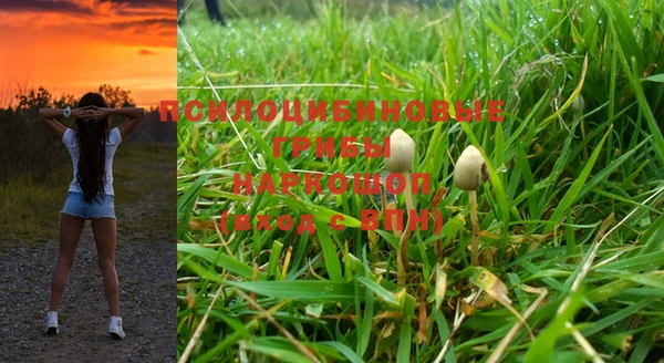 метамфетамин Елизово