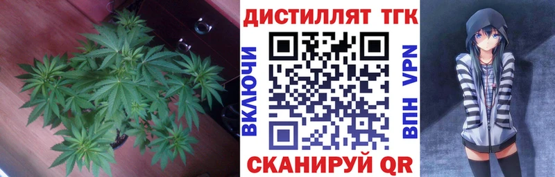 Купить где  Реутов  ТГК вейп 