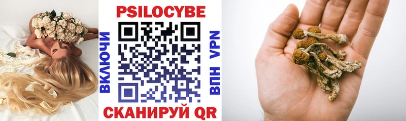 Галлюциногенные грибы мицелий  Купить  Реутов 